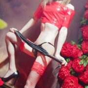 ヒメ日記 2025/12/08 18:00 投稿 月(つき)女王様 SM・M性感・ニューハーフ Club EMBASSY(クラブエンバシー)岡山店