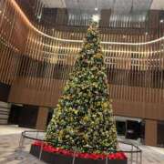 ヒメ日記 2025/12/04 22:31 投稿 エミル エピソード(品川)