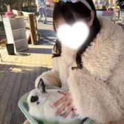 ヒメ日記 2025/12/29 15:46 投稿 エミル エピソード(品川)