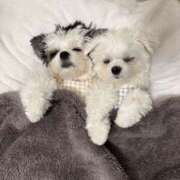 ヒメ日記 2025/10/07 20:15 投稿 にな 大和人妻城