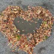 ヒメ日記 2025/11/18 10:16 投稿 しほ 厚木人妻城