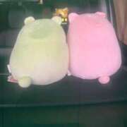 ヒメ日記 2026/03/04 10:37 投稿 しほ 厚木人妻城