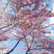 しほ あれ……へんだな 厚木人妻城