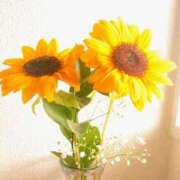 ヒメ日記 2025/09/11 08:44 投稿 上原ななみ おいしい人妻熟女