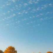 ヒメ日記 2025/09/22 08:54 投稿 上原ななみ おいしい人妻熟女