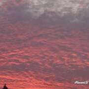 ヒメ日記 2025/09/27 05:30 投稿 上原ななみ おいしい人妻熟女