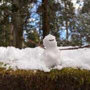 ヒメ日記 2026/02/08 10:19 投稿 いちか 萌えカワ