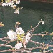 ヒメ日記 2026/03/24 14:49 投稿 まよ 性腺熟女100％本店（デリヘル市場）