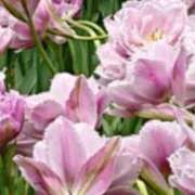 まよ 18日お礼です 性腺熟女100％本店（デリヘル市場）