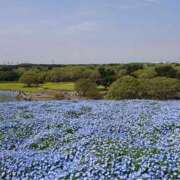 まよ 昨日のお礼です 性腺熟女100％本店（デリヘル市場）