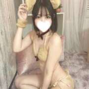 白峰しゅう 🫧 [お題]from:何が当たる？さん 🫧 ブルーバード