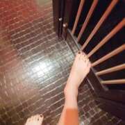 ヒメ日記 2026/02/01 17:46 投稿 月(つき)女王様 Club-Embassy