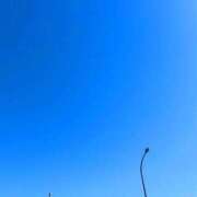 ヒメ日記 2026/03/08 11:33 投稿 さくら 見学娘