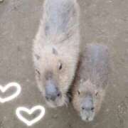 ヒメ日記 2026/04/03 20:13 投稿 さくら 見学娘