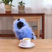 ヒメ日記 2026/01/19 17:33 投稿 ゆか 見学娘