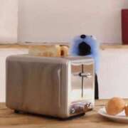 ヒメ日記 2026/01/20 13:01 投稿 ゆか 見学娘