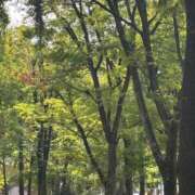 ヒメ日記 2025/09/09 07:43 投稿 大野たまき ミセス大阪十三店