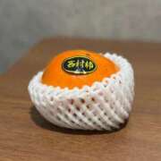 ヒメ日記 2025/10/05 18:46 投稿 大野たまき ミセス大阪十三店