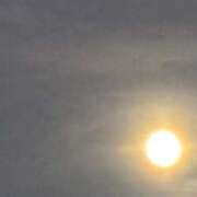 ヒメ日記 2025/10/07 00:24 投稿 大野たまき ミセス大阪十三店