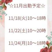 ヒメ日記 2025/11/09 10:11 投稿 大野たまき ミセス大阪十三店