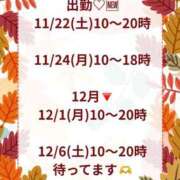ヒメ日記 2025/11/19 20:42 投稿 大野たまき ミセス大阪十三店