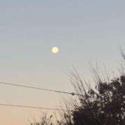 大野たまき 12/6(土)おはたま🌕 ミセス大阪十三店