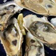 ヒメ日記 2025/12/12 09:13 投稿 大野たまき ミセス大阪十三店