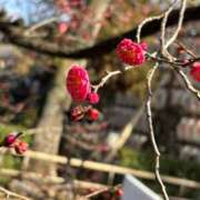 ヒメ日記 2026/01/30 07:54 投稿 大野たまき ミセス大阪十三店