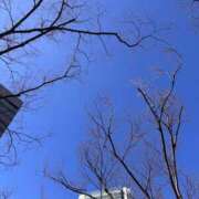 ヒメ日記 2026/02/19 22:38 投稿 大野たまき ミセス大阪十三店