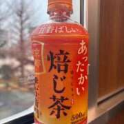 ヒメ日記 2026/03/01 19:50 投稿 大野たまき ミセス大阪十三店