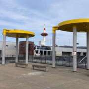 ヒメ日記 2026/03/21 07:37 投稿 大野たまき ミセス大阪十三店