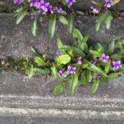 ヒメ日記 2026/04/20 09:49 投稿 大野たまき ミセス大阪十三店