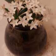 もな おはようございます 京都人妻デリヘル倶楽部