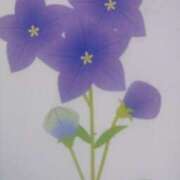 もな はじめまして 京都ホテヘル倶楽部