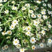 もな どきどき 京都ホテヘル倶楽部