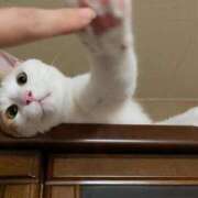 ヒメ日記 2025/12/14 13:04 投稿 おと マダムバンク 富山本店