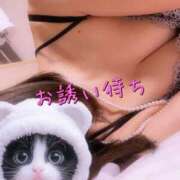 ヒメ日記 2026/02/12 16:14 投稿 おと マダムバンク 富山本店