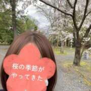 ヒメ日記 2026/04/06 19:14 投稿 おと マダムバンク 富山本店