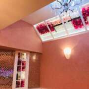 ヒメ日記 2025/11/21 20:17 投稿 あん 熟女デリヘル倶楽部