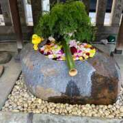 ヒメ日記 2025/12/09 07:12 投稿 あん 熟女デリヘル倶楽部