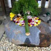 ヒメ日記 2025/12/11 07:39 投稿 あん 熟女デリヘル倶楽部