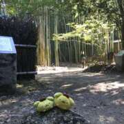 ヒメ日記 2025/12/23 10:01 投稿 あん 熟女デリヘル倶楽部