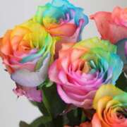 ヒメ日記 2026/01/12 06:00 投稿 あん 熟女デリヘル倶楽部