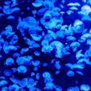 ヒメ日記 2026/01/27 22:00 投稿 あん 熟女デリヘル倶楽部