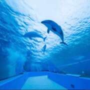 ヒメ日記 2026/02/12 06:00 投稿 あん 熟女デリヘル倶楽部