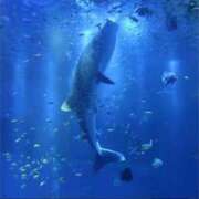 ヒメ日記 2026/02/12 22:02 投稿 あん 熟女デリヘル倶楽部