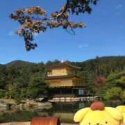 ヒメ日記 2026/02/20 10:00 投稿 あん 熟女デリヘル倶楽部