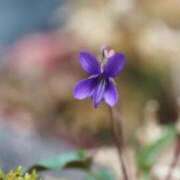 ヒメ日記 2026/02/21 06:00 投稿 あん 熟女デリヘル倶楽部