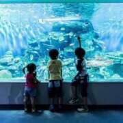 ヒメ日記 2026/02/22 11:25 投稿 あん 熟女デリヘル倶楽部