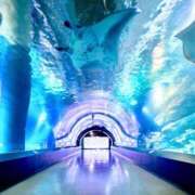 あん 2月もありがとう😊 熟女デリヘル倶楽部